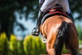 Professional horse rider jumping over the obstacle on show jumping competition. Equestrian sport theme Royalty Free Stock Photo