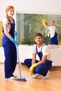 Professional house cleaners