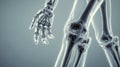 Professional Human Joints Concept for Medical Illustrations and Educational Material Royalty Free Stock Photo