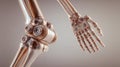 Professional Human Joints Concept for Medical Illustrations and Educational Material Royalty Free Stock Photo