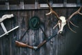 Professional hunters equipment for hunting. Rifle, Deer, Roe deer trophy sculs and others on a wooden black background. Trophy scu Royalty Free Stock Photo