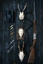 Professional hunters equipment for hunting. Rifle, knives, trophy sculps, ammunition, and others on a wooden black background. Tro Royalty Free Stock Photo