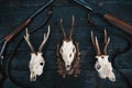 Professional hunters equipment for hunting. Rifle, knives, trophy sculps, ammunition, and others on a wooden black background. Tro