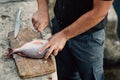 Professional island fisherman preparing / cleaning gilthead sea bream.Fishing for living.Local fish market.Fresh seafood.Expensive