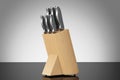 Professional Kitchen Knives Set in Wooden Box
