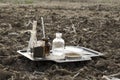 Special glassware for testing soil.Medical glassware in the field.Concept of cheking samples of soil Royalty Free Stock Photo