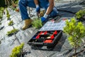 Landscaper Installing Drip Irrigation System in a Newly Developed Garden