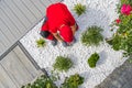 Professional Landscaper Installing Modern LED Lighting Inside Newly Designed Backyard Garden