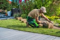 Professional Landscaper Installing New Grass Turfs in the Backyard Garden