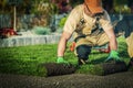 Professional Landscaper Job Royalty Free Stock Photo