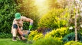 Professional Landscaper Performing Backyard Garden Maintenance Royalty Free Stock Photo