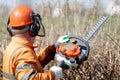 Professional landscaper worker trimming hedgerow with gas powered clipper Royalty Free Stock Photo