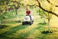 Professional landscaping works in garden. Worker mowing and trimming lawn, grass Royalty Free Stock Photo