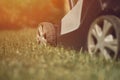 Professional lawn mower cutting grass on courtyard. Garden care equipment. Sunny day, close up Royalty Free Stock Photo