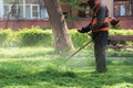 Professional lawn mowing service in the park