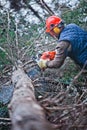 Professional Lumberjack