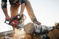 Professional lumberman sawing trees on sawmill Royalty Free Stock Photo