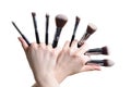 Professional make-up brush cosmetic in female hand beautician is