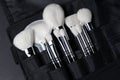 Professional make-up brush set on dark background. Natural and synthetic bristles. Black handles Royalty Free Stock Photo