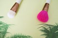 Make up brushes Royalty Free Stock Photo