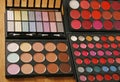 Professional make up pallette. Lip gloss, concealer, cheek blusher,eye sgadows