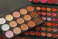 Professional make up pallette. Lip gloss, concealer, cheek blusher