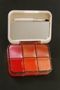 Professional make up pallette of lip glosses