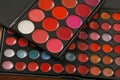 Professional make up pallettes of lip gloss Royalty Free Stock Photo
