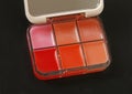 Professional make up pallettes of lip gloss Royalty Free Stock Photo