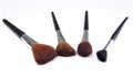 Professional make up and powder brushes