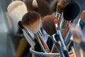 Professional makeup brushes