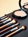 Professional makeup brushes arranged beside a compact blush on a sleek surface Royalty Free Stock Photo
