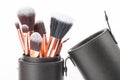 Professional Makeup Brushes