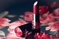 Professional makeup cosmetics, lipstick tube, pink background natural flowers. Beauty concept, decorative professional