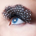 Professional Makeup. False Eyelashes