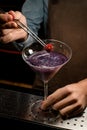 Professional male bartender decorated purple alcoholic cocktail in a martini glass with a red flower by tweezers Royalty Free Stock Photo