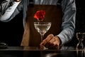 Professional male bartender throwing a big red rose bud to a martini glass with a alcoholic cocktail Royalty Free Stock Photo