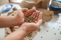 Professional male coffee taster holding coffee beans in palms for tasting