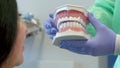 Dentist shows the client layout of human teeth