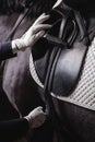 Jockey prepearing horse for the equestrian ride Royalty Free Stock Photo
