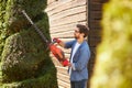 Professional male landscaper creating topiary garden by cutting branches of evergreen plants.