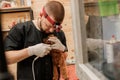 Professional Man veterinarian dentist doing procedure of professional teeth cleaning dog in a veterinary clinic. Pet healthcare