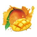 Professional Mango Splash Vector Illustration Royalty Free Stock Photo