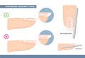 Professional Manicure Tutorial. The Perfect Nail Shape. How to File Nails the Right Way. Manicure Mistakes. Vector Royalty Free Stock Photo