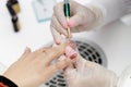 Professional master manicurist applying nail polish in beauty salon Royalty Free Stock Photo