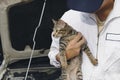 Professional mechanic man with cutie kitten against car in open hood at the repair garage. Car insurance concept.