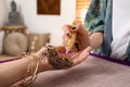 Professional mehndi master making henna tattoo indoors, closeup Royalty Free Stock Photo