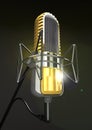 Professional microphone is on the stand 3d illustration.