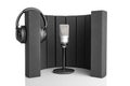 Professional microphone and a studio microphone screen for recording in the studio and Broadcast. Royalty Free Stock Photo