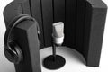 Professional microphone and a studio microphone screen for recording in the studio and Broadcast. Royalty Free Stock Photo